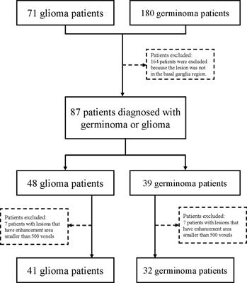 Classification of Gliomas and Germinomas of the Basal Ganglia by Transfer Learning